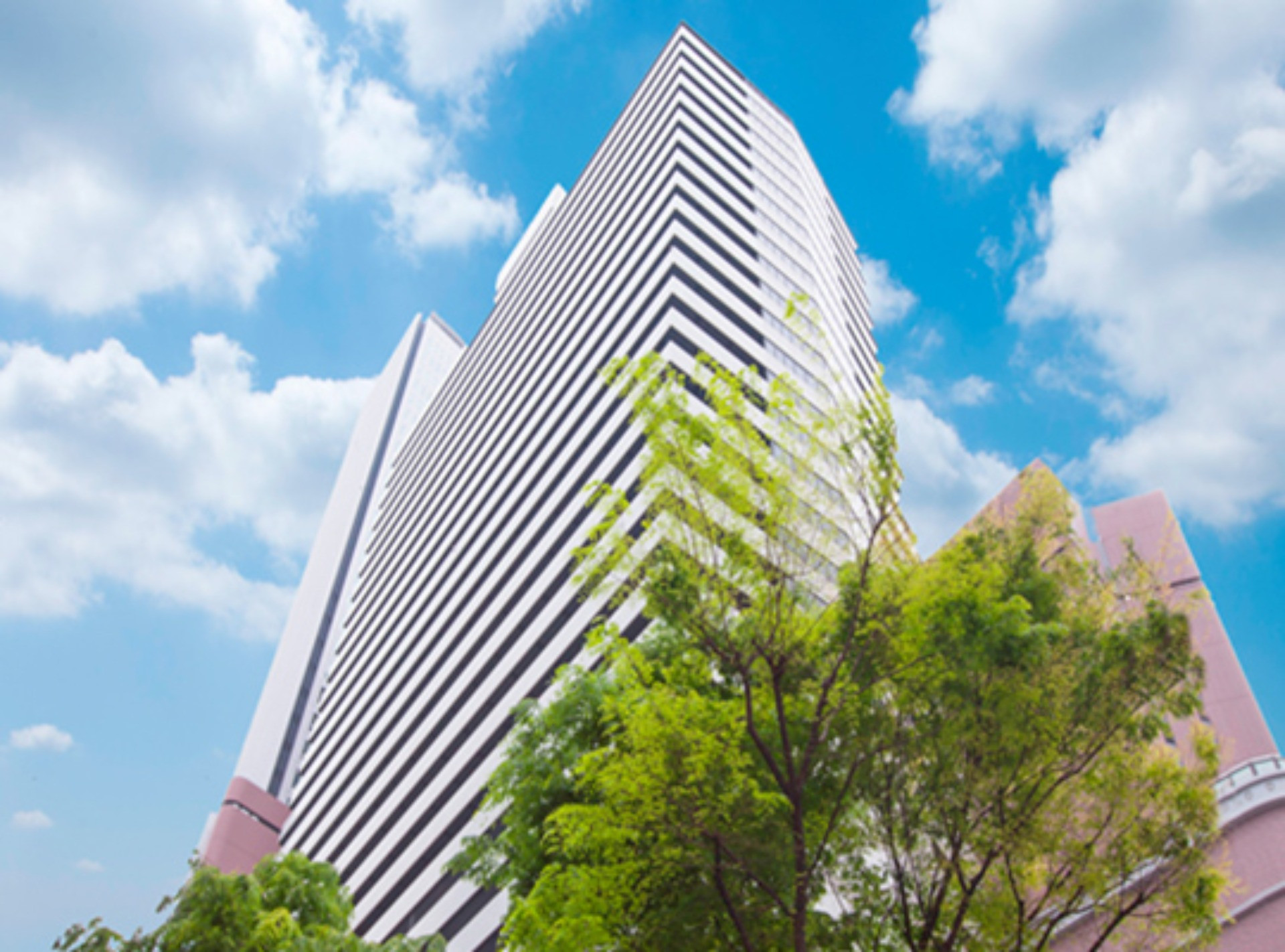 有限会社ソリスナビタス